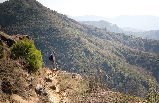 Tirana's Mini-Everest - Mali i Vrapit Hike and Village Lunch