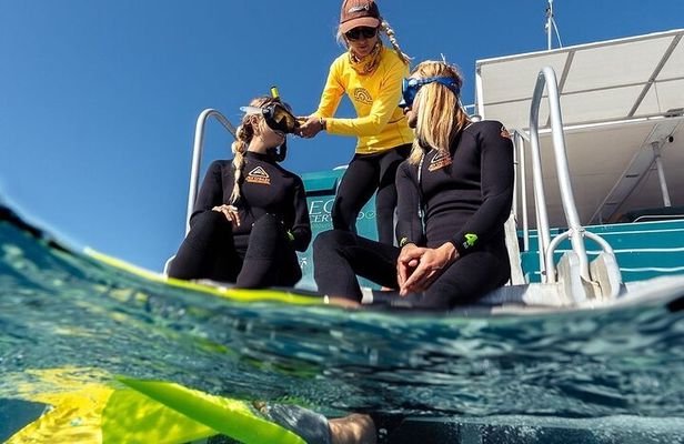 Great Keppel Island Snorkel and Glass Bottom Boat Experience