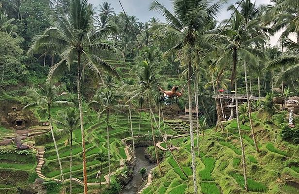 Ubud Central Bali Private Group Tour