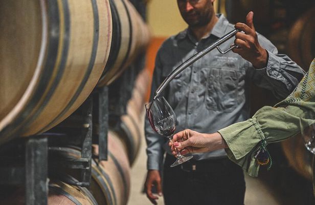 Discover Voyager Tour and Wine Tasting