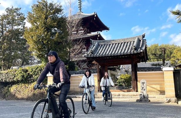 E-Bike Tour through Ikaruga’s Temples and Countryside