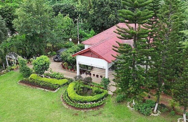Guwahati Tea Garden Tour with Lunch & Hi Tea (Premium Experience)