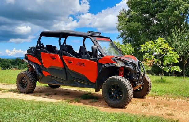 Istra Buggy Family Safari