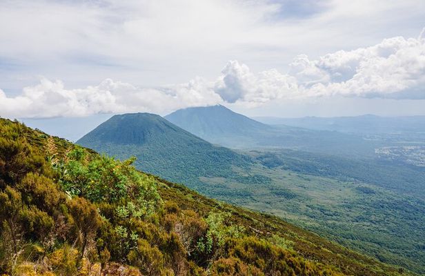 Volcanoes National Park Day Pass
