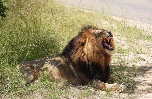 3 Days Murchison Falls National Park with Bigfive