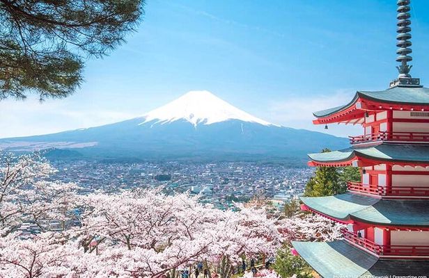 Mount Fuji and Hakone Private Tour With Pick And Drop