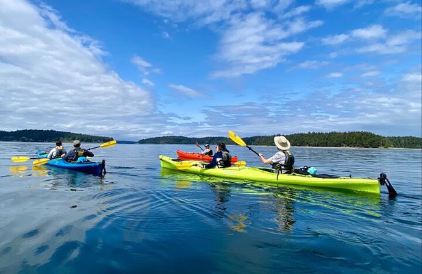 Guided Kayak Tour To Hope Island State Park