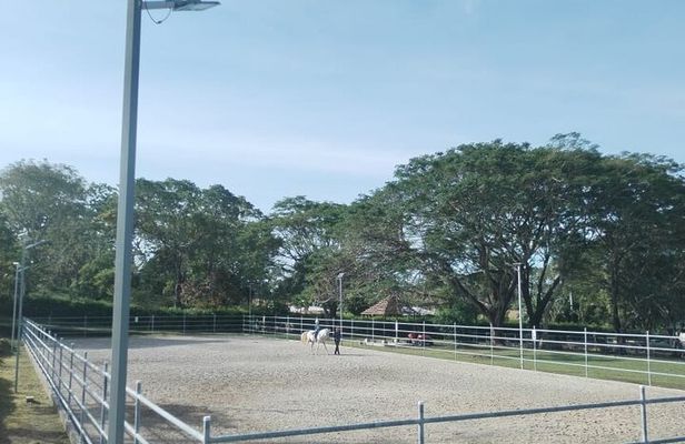 Equestrian classes - The Art of Riding a Horse
