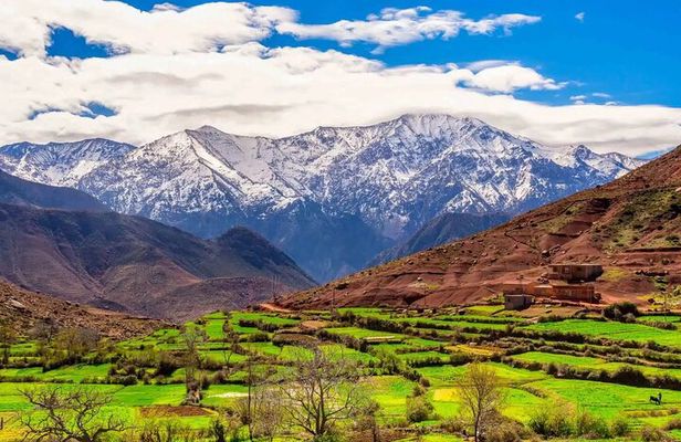 Atlas Mountains and Waterfalls Day Trip from Marrakech