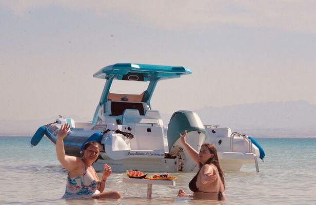 Speed Boat 4 Hours Swim Dolphin, Orange Island ,Snorkeling