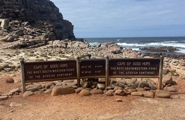 Cape Point Cape of Good Hope and Penguins Private Tour