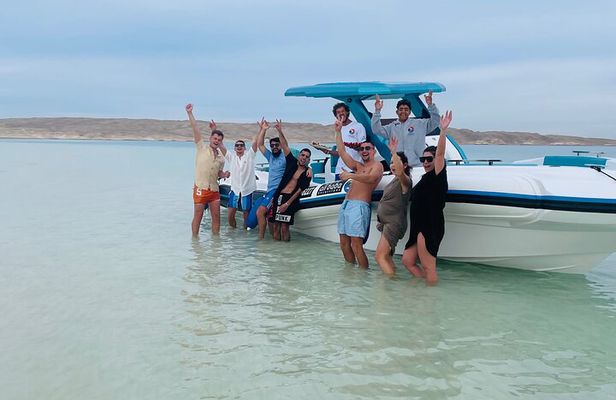 Speed Boat 4 Hours Swim Dolphins, Hula Hula , Snorkeling