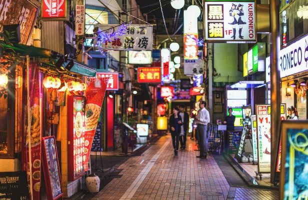Tokyo: neon lights Shinjuku and Shibuya