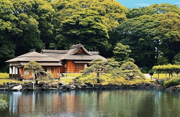Tokyo Bay and Tsukiji Fish Market
