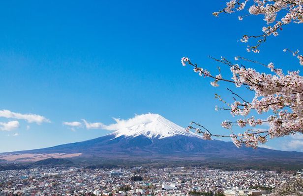 Mt. Fuji 5th St and Gotemba Outlets (Disband at Gotemba Outlets)