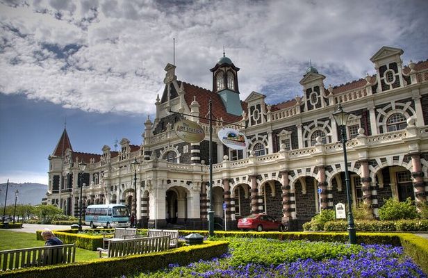 Dunedin 4 Hrs halfday Private Tour