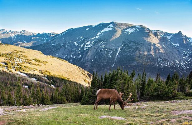 Discover Rocky Mountain National Park
