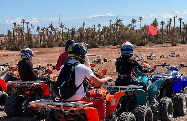 Quad Experience in Marrakech, Tea Stop, and Photo with Palm