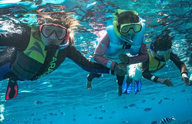 Kuata Island Marine Conservation Experience with Lunch