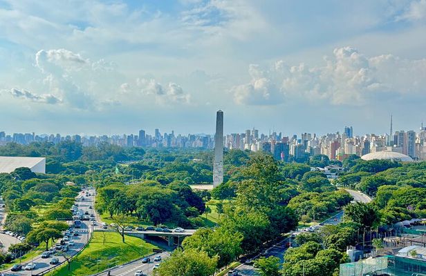 Best of São Paulo pickup Santos drop-off Sao Paulo/Hotel/Airport