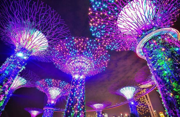 Singapore River Cruise and 2 Must-see Water Light Shows
