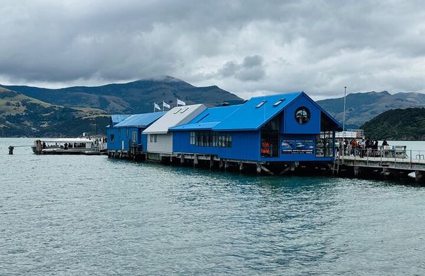 Akaroa Private Group Day Trip from Christchurch