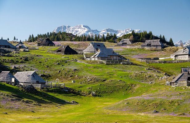 Velika Planina Guided Hike from Ljubljana