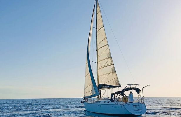 One day excursion on a sailing boat in the Gulf of Alghero