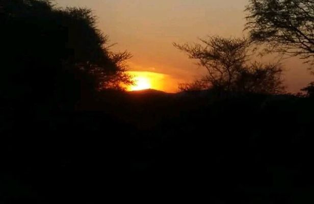 from cape town Aquila game reserve Sunset Safari Drive Exclusive