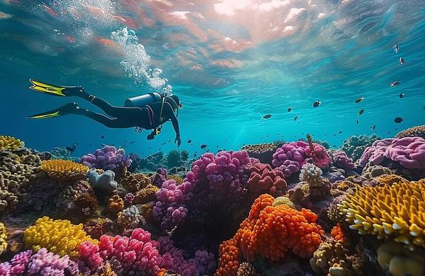 White Island & Ras Mohammed National Park from Sharm El Sheikh