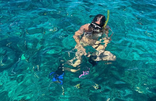 Roatan Sloth Park, City Tour And Snorkeling