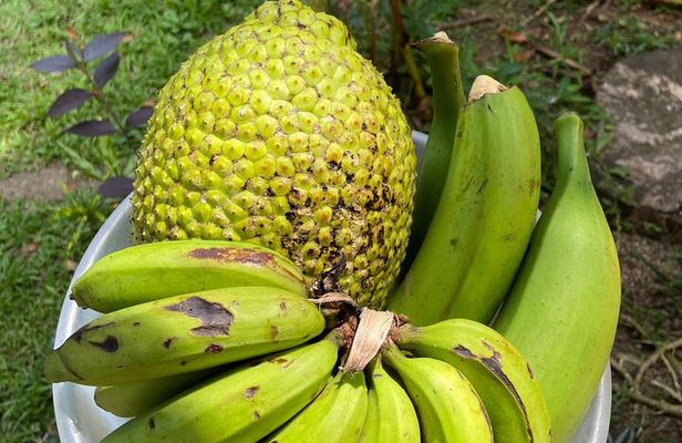 Learn to Cook Like a Caribbean in Puerto Viejo