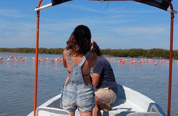 Flamingos Tour in Rio Lagartos Yucatan 2 hours