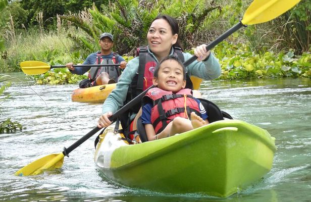 Small Group Rock Springs Run Eco Kayak Adventure