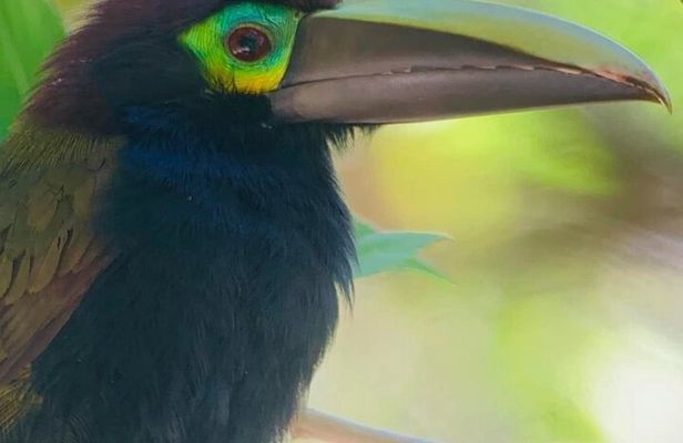 Curicancha Reserve Nature Walk