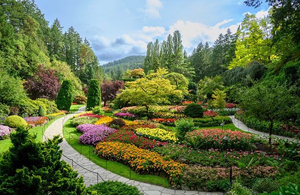 Victoria and Butchart Gardens Elevated Experience