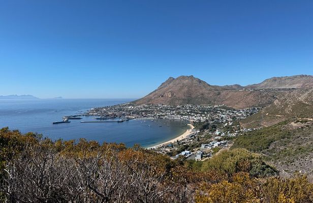 Full-Day Safari at Aquila Private Nature Reserve from Cape Town