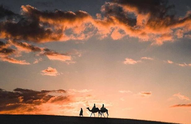 Camel ride in the Agafay Desert in Marrakech and dinner