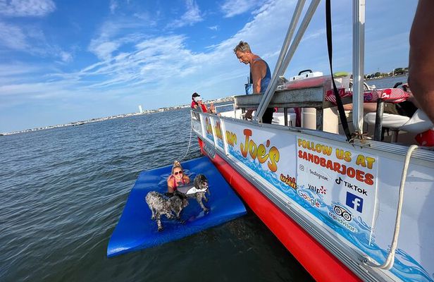 Private Four Hour Sandbar Adventure from West Wildwood