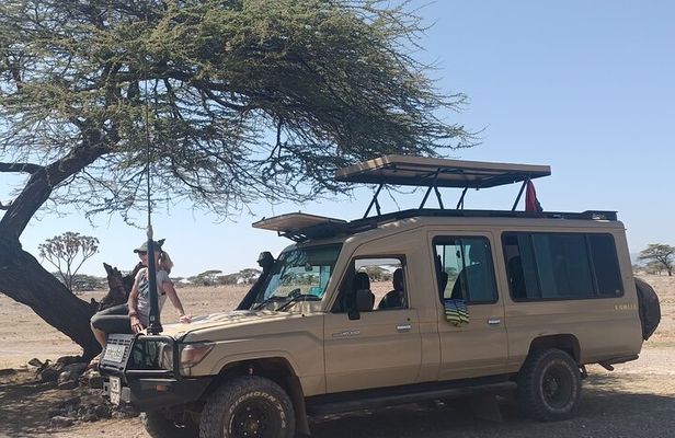 5 Day Kenya Budget Safari Naivasha, Nakuru Lakes and Masai Mara