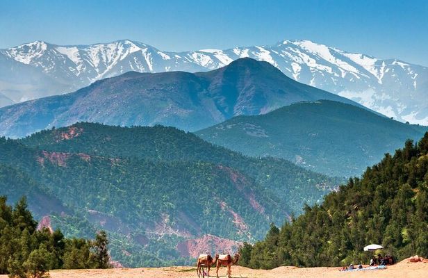 Day Trip To Ourika Valley From Marrakech -With Lunch And Guide