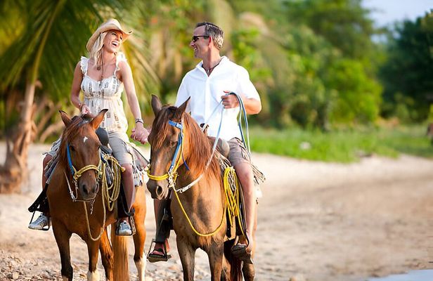 Scenic Horseback Ride + Beach Relaxation