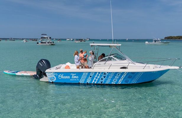 Destin Dolphin and Snorkeling Adventure Speedboat Tour 