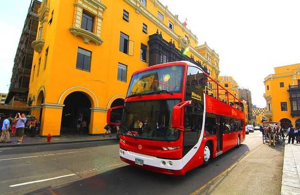 Panoramic Tour the Best of the City in a Single Tour