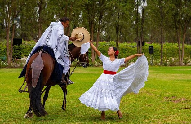 Lima Buffet Lunch, Dance Show and Peruvian Paso Horses