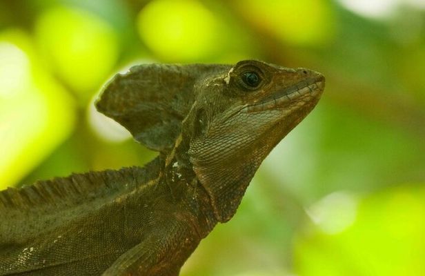 Canoe Tour, Night Hiking Tour and Turtle Spawning