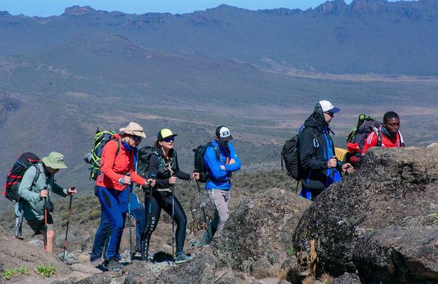 8 Days Kilimanjaro Climb Group Joining Tour via the Lemosho Route