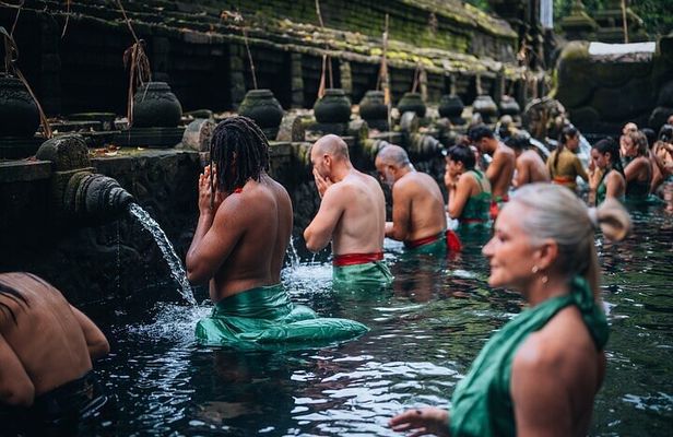 Top Ubud Attractions: Private Full-Day Guided Tour
