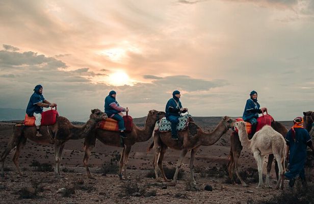 Luxury hot air balloon & royal berber breakfast & camel ride