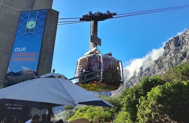 Table Mountain Penguins Cape of Good Hope Adventure Shared Tour